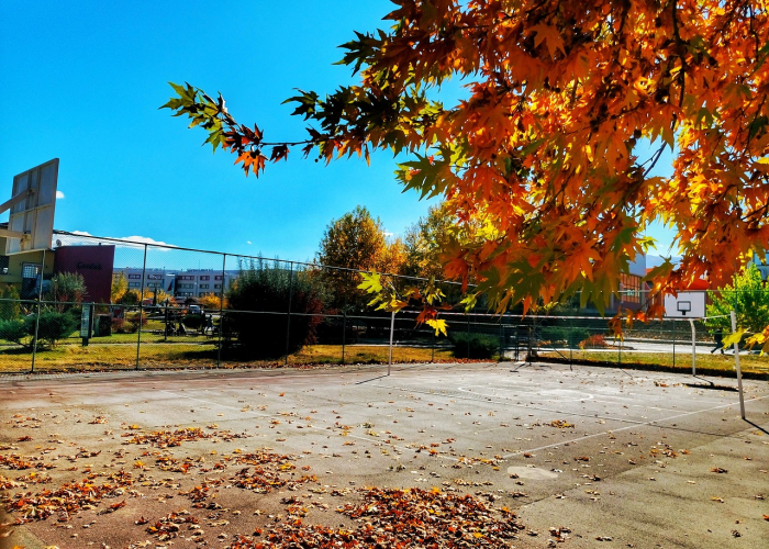 文峰塔下，一座古城的时光切片