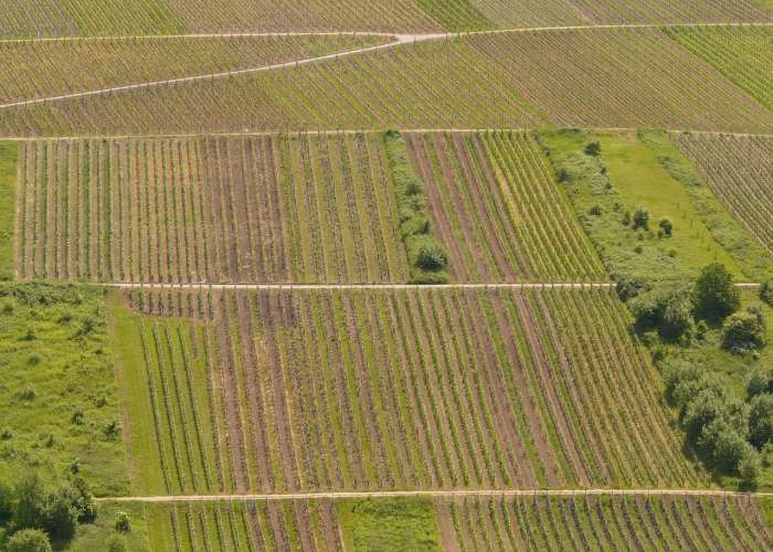 十大分享“老友十三水透视开挂教程”(果然有挂)-知乎