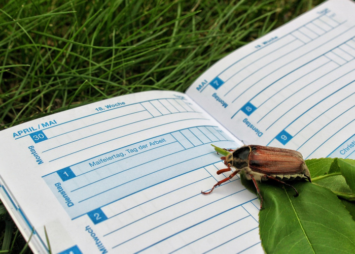 终于发现“顺欣茶坊究竟有没有挂”(原来确实有挂)-知乎