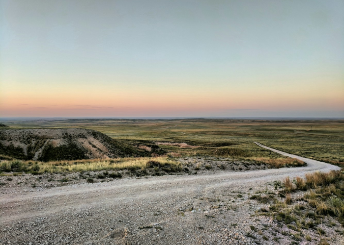 健康码下的呼伦贝尔，草原牧歌与数字边界的变奏