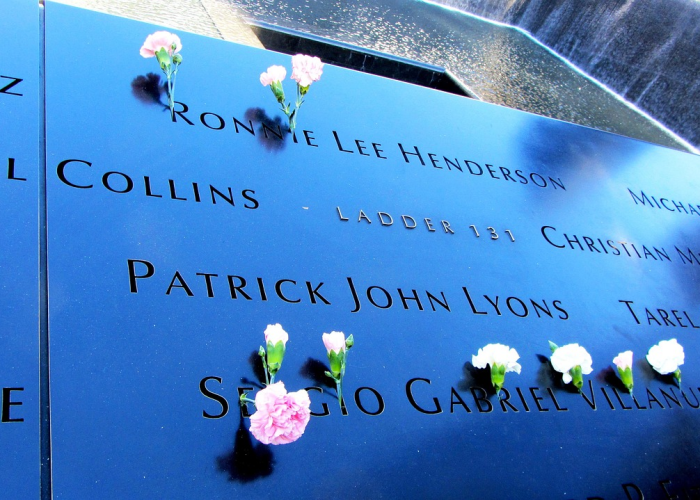 11月9日，历史褶皱中的多重回响