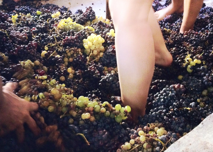 惊人内幕“大金牙麻将真的有开挂软件”(详细开挂教程)-知乎