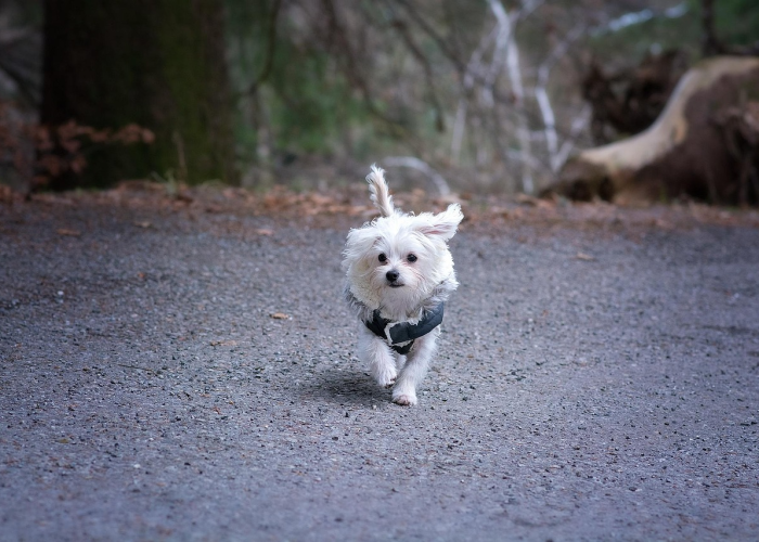 「重大震惊」“天天贵阳麻将其实真的有透视”(千真万确有挂)-知乎
