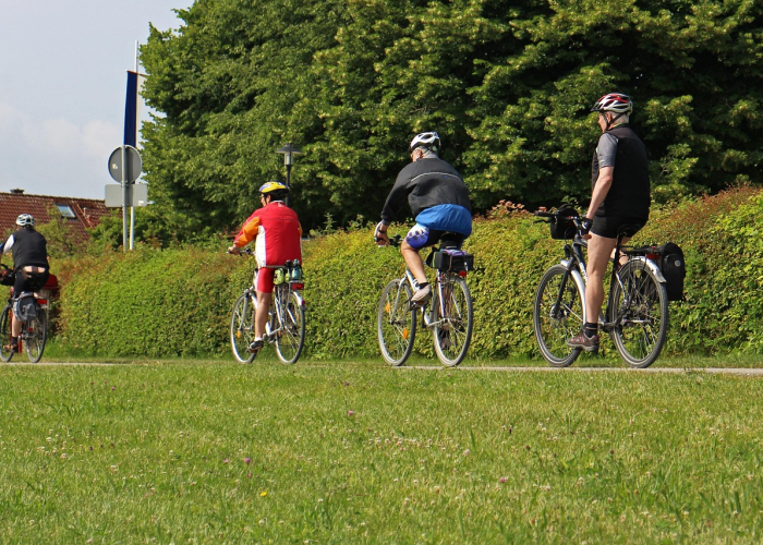 十大爆料“小吆广东麻将透视挂辅助”(原来确实有挂)-知乎