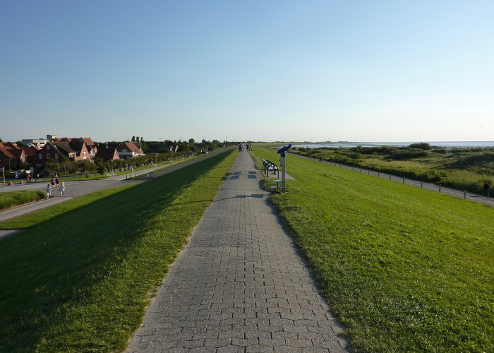惊人内幕“决战武穴麻将透视软件教程”(确实能开挂)-知乎 惊人内幕“决战武穴麻将透视软件教程”(确实能开挂)-知乎