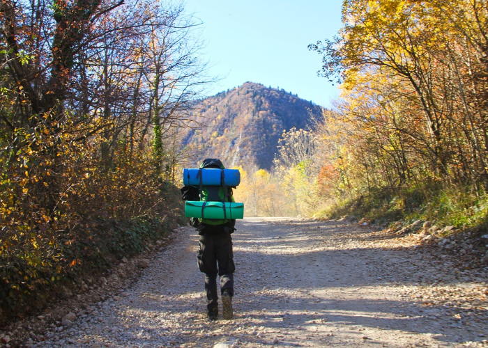 胡杨林中的异乡客，额济纳旗滞留旅客的十二天