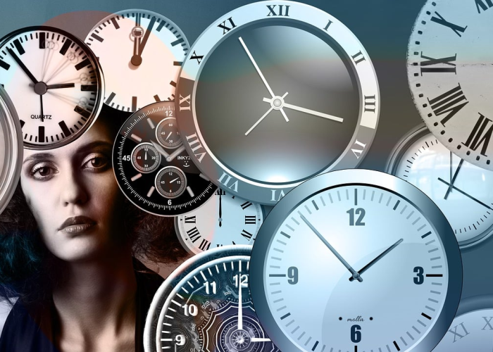 灵魂兽猫头鹰刷新时间解析，如何精准捕捉稀有伙伴