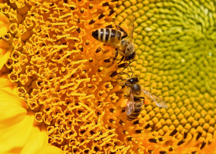 终于发现“新毛豆可以透视开挂吗”(其实有开挂方法)-知乎 终于发现“新毛豆可以透视开挂吗”(其实有开挂方法)-知乎