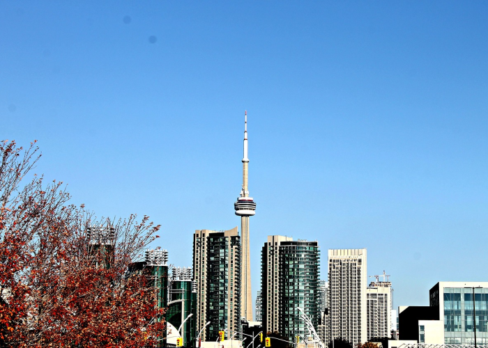 十大爆料“皇冠十三水透视软件挂”(详细开挂猫腻)-知乎