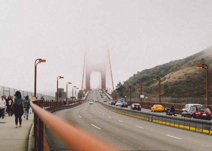 惊人内幕“新青鸟有没有透视软件挂”(详细开挂教程)-知乎