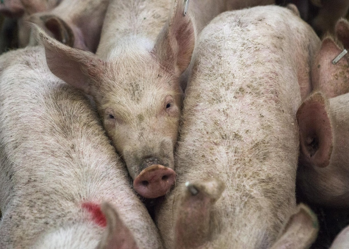 终于发现“粤东百乐汇开挂辅助教程”(确实能开挂)-知乎