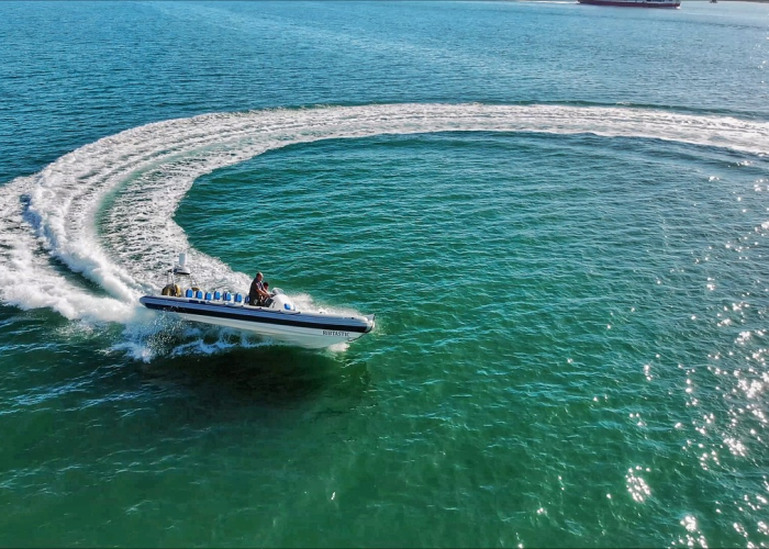 31省新增52例确诊，数字背后的全民抗疫进行时