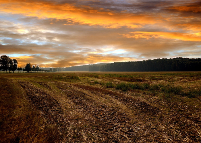 5月22日，一个被历史与自然共同镌刻的日子