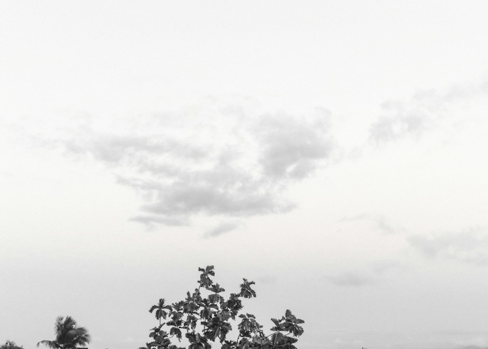 十大分享“家乡大贰有什么可以开挂”(千真万确有挂)-知乎