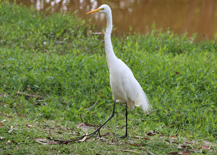 揭秘十大“空谷幽兰到底怎么开挂”(其实有开挂方法)-知乎