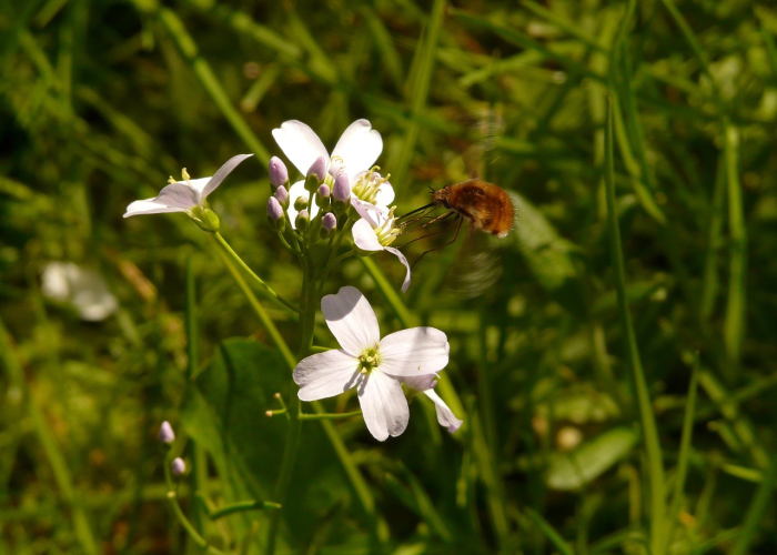揭秘十大“空谷幽兰到底怎么开挂”(其实有开挂方法)-知乎
