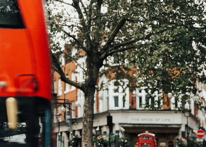 揭秘十大“小程序财神十三张真的有开挂软件”(原来确实是有插件)-知乎