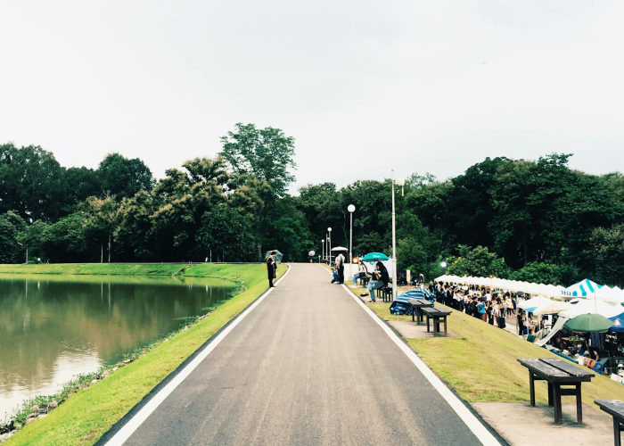 上虞封路了吗？实时路况与出行指南