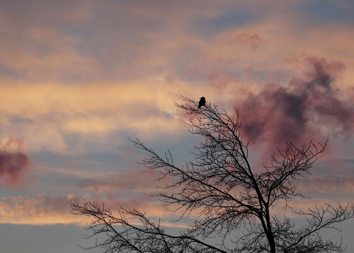 解封时刻，乌鲁木齐的黎明与新生