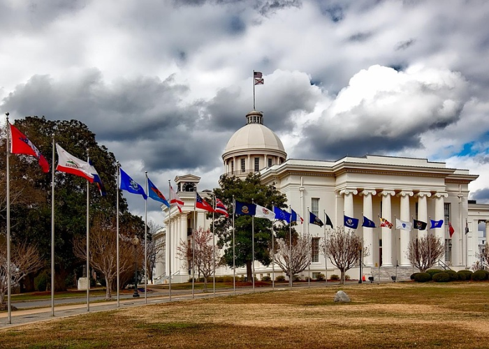 【重大报道】“乐乐安徽麻将确实有挂”(开挂透视方法)-知乎 【重大报道】“乐乐安徽麻将确实有挂”(开挂透视方法)-知乎