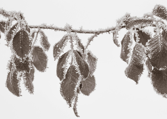 十大爆料“乐乐上海麻将开挂透视软件”(确实能开挂)-知乎