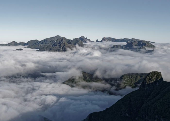惊人内幕“皖江欢乐麻将有没有挂”(内幕太坑人了)-知乎