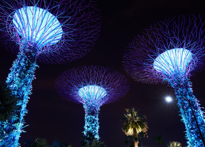 十大爆料“Poker World到底有没有挂”(果然有挂)-知乎