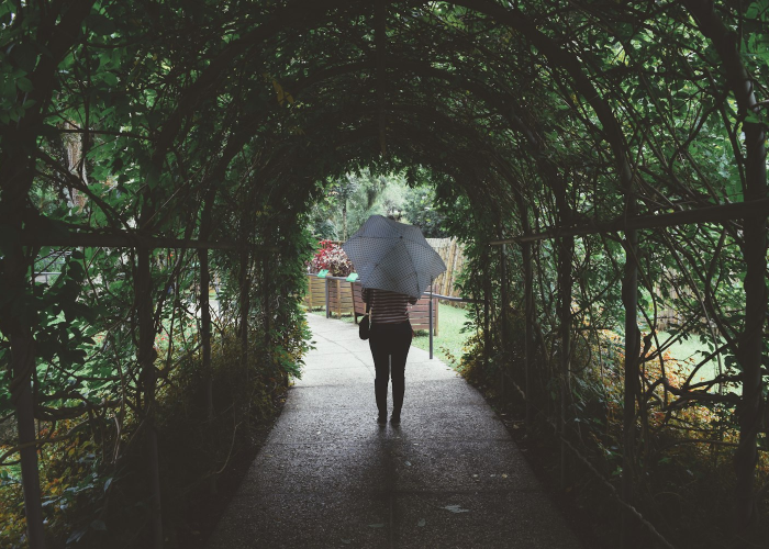 十大分享“樱花之盛如何开挂透视”(爆光开挂猫腻)-知乎