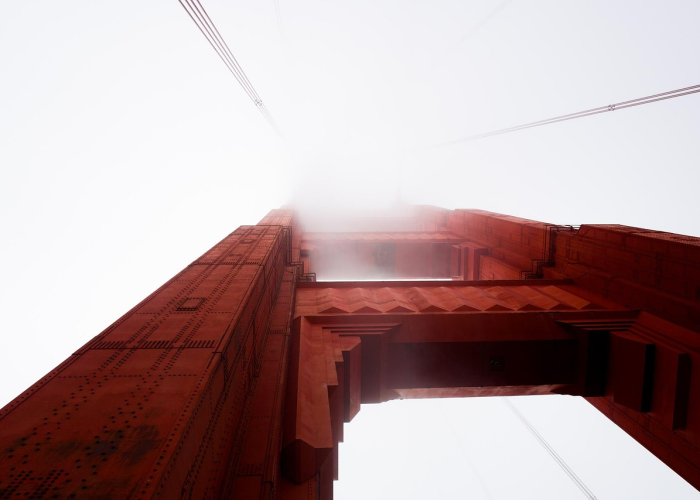 青岛疫情动态，精准防控下的城市韧性