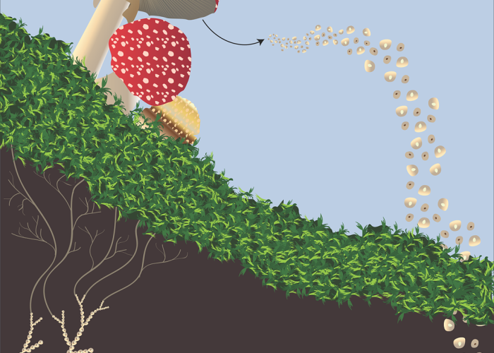 详细了解“小南四川长牌开挂透视辅助”(果然有挂)-知乎