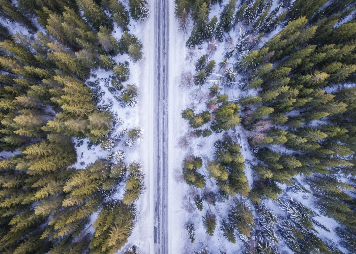 揭秘十大“冰雪派对有没有透视辅助”(确实有开挂)-知乎