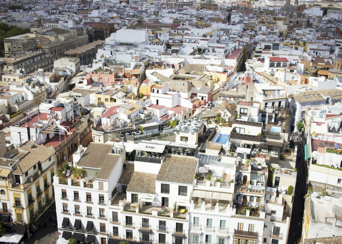 探访橄榄君庭,揭秘其所属街道与社区魅力 探访橄榄君庭,揭秘其所属街道与社区魅力