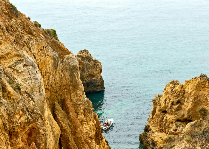 西安疫情，一座古城的战时时间线