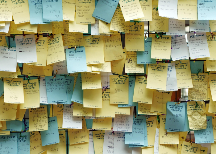 玩家实测“八戒其实真的有透视”(开挂怎么弄)-知乎