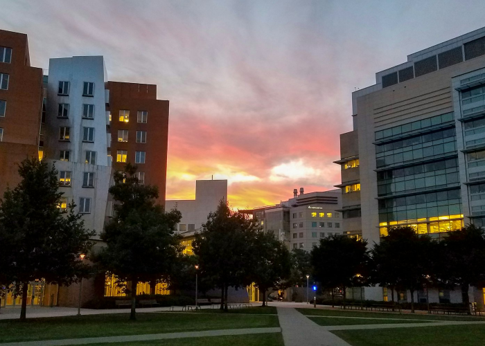 详细了解“微乐海南麻将透视开挂功能”(原来开挂有猫腻)-知乎