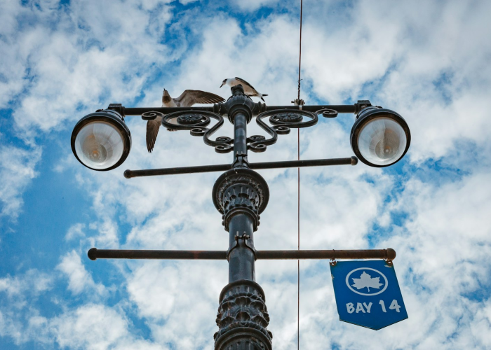 上海疫情一月，寂静与奔涌的三十天