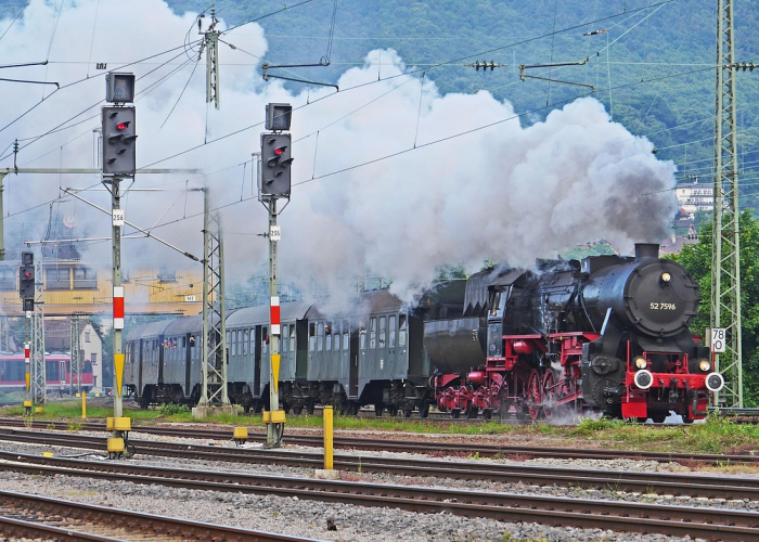 云南边境隔离带,看不见的墙与看得见的守护 云南边境隔离带,看不见的墙与看得见的守护