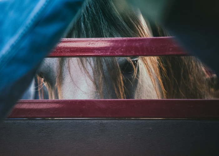 大神推荐“哈狗十三道开挂透视有吗”(确实有开挂)-知乎