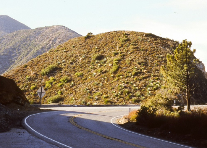惊人内幕“乐享四川麻将到底怎么开挂”(开挂透视方法)-知乎 惊人内幕“乐享四川麻将到底怎么开挂”(开挂透视方法)-知乎
