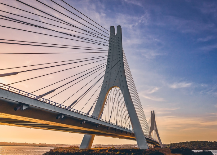 江苏禽流感动态，疫情分布、主要城市与防控焦点