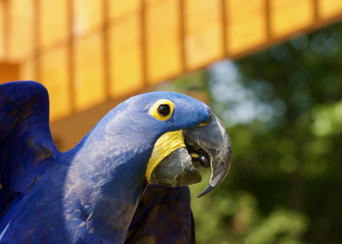 晋州确诊,一座小城的抗疫48小时 晋州确诊,一座小城的抗疫48小时