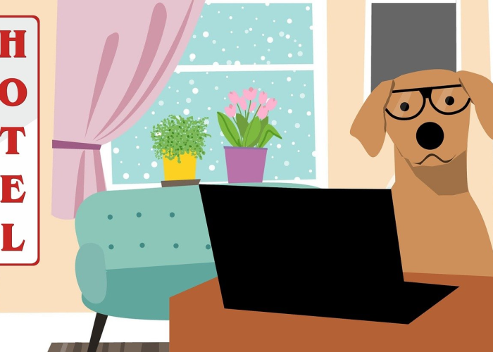 终于发现“吉祥七公到底有没有透视挂”(确实有开挂)-知乎 终于发现“吉祥七公到底有没有透视挂”(确实有开挂)-知乎