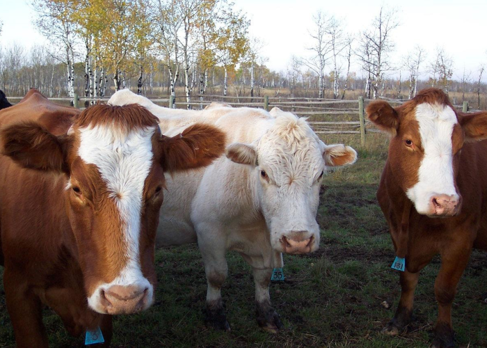 终于发现“杭州都莱透视挂神器”(开挂怎么弄)-知乎 终于发现“杭州都莱透视挂神器”(开挂怎么弄)-知乎