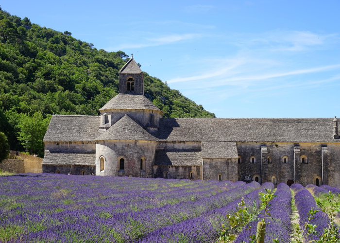 【重大报道】“开心茶苑有没有挂”(其实有开挂方法)-知乎 【重大报道】“开心茶苑有没有挂”(其实有开挂方法)-知乎