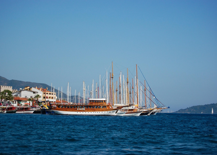 「重大消息」“新蓝鲸到底怎么开挂”(果然有挂)-知乎