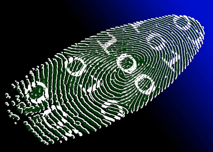 TCL科技（股票代码，000100）深度解析，显示龙头如何穿越周期布局未来？