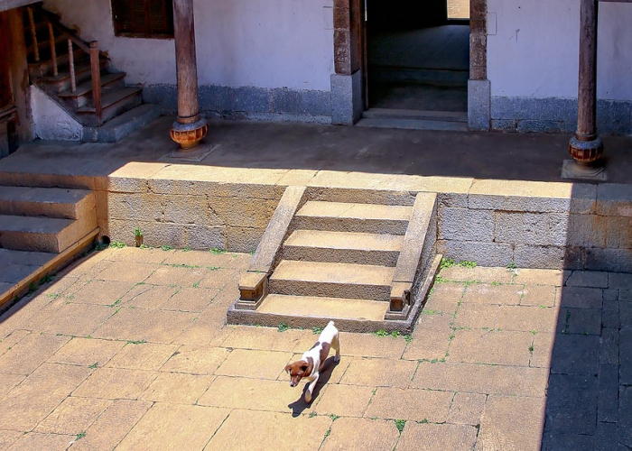 美国昨日新增新冠死亡人数持续下降,专家提醒仍需警惕 美国昨日新增新冠死亡人数持续下降,专家提醒仍需警惕