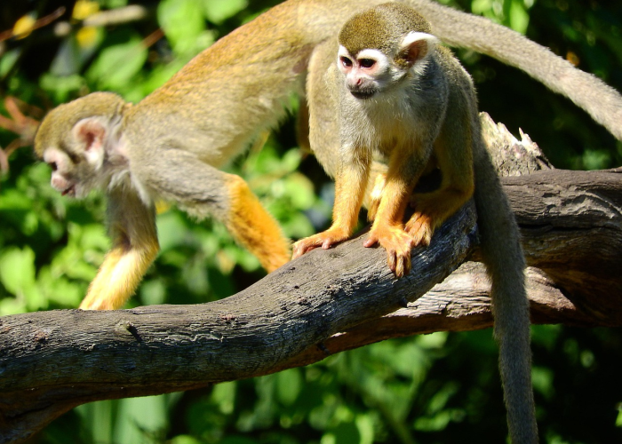 终于明白“欢乐谷透视挂辅助”(原来确实是有插件)-知乎