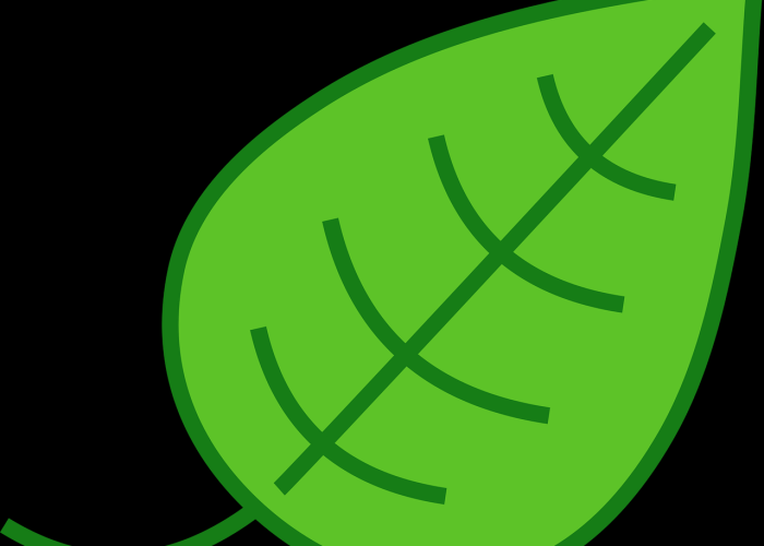 大众凌渡最新报价及高清图片一览，全国经销商网络查询指南