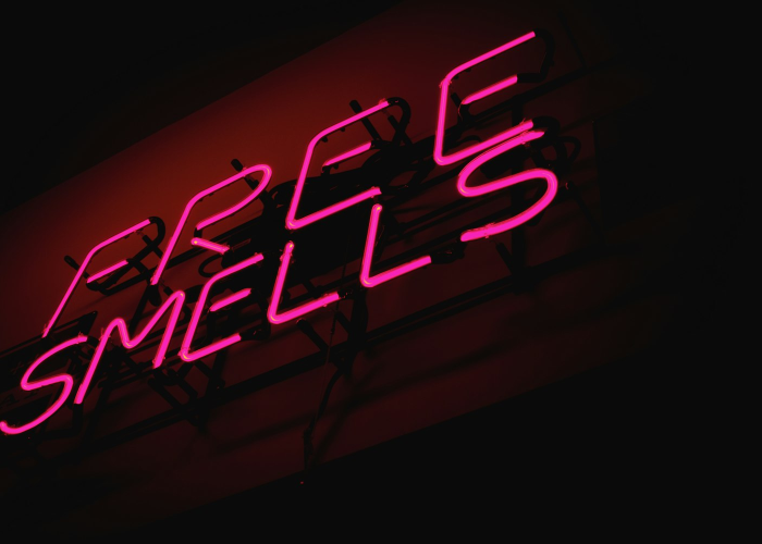 十大分享“新战皇到底怎么开挂”(其实有开挂方法)-知乎